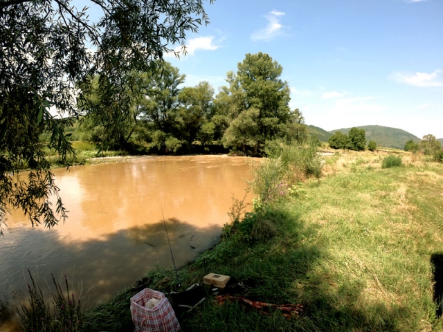 река Вит